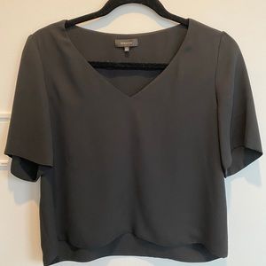 Silk Aritzia Tee